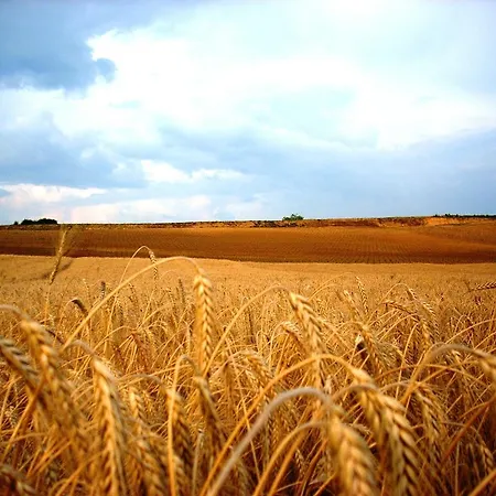 Milin Lagum بيت ضيافة Irig